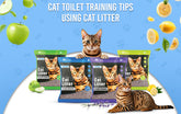 Cat Toilet training Tips Using cat Litter